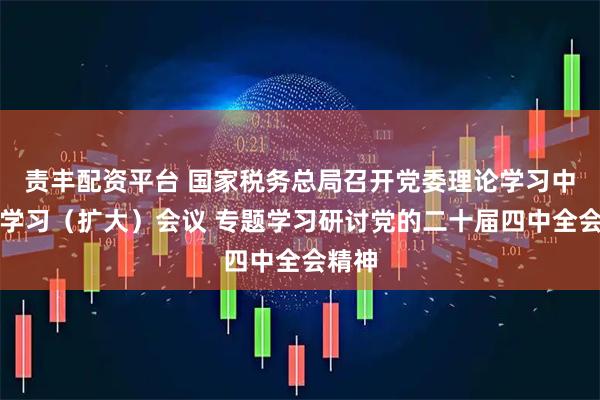 责丰配资平台 国家税务总局召开党委理论学习中心组学习（扩大）会议 专题学习研讨党的二十届四中全会精神