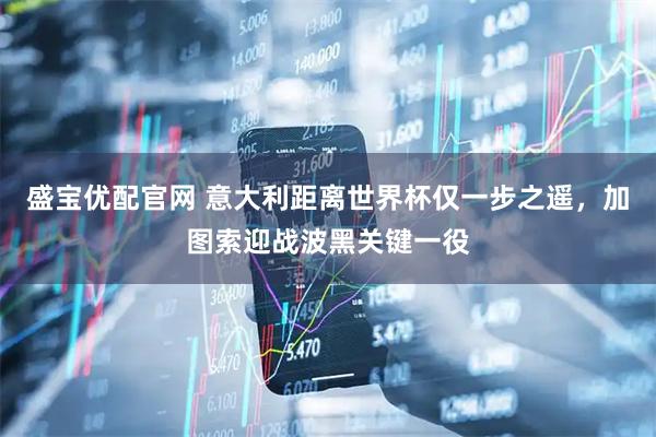 盛宝优配官网 意大利距离世界杯仅一步之遥,加图索迎战波黑关键一役