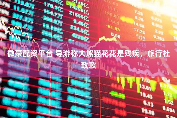 微豪配资平台 导游称大熊猫花花是残疾，旅行社致歉